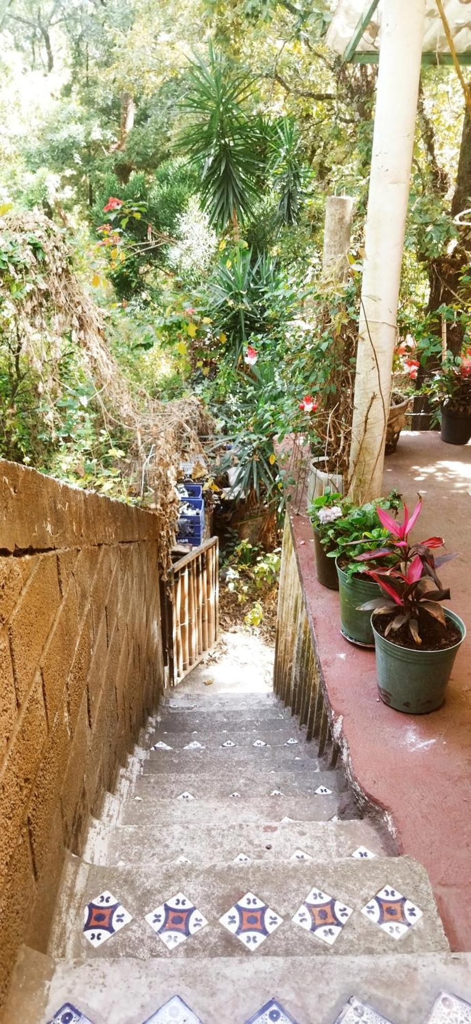 Ferienwohnung Casa Ecologica Tepoztlán Exterior foto