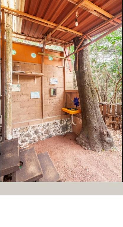 Ferienwohnung Casa Ecologica Tepoztlán Exterior foto