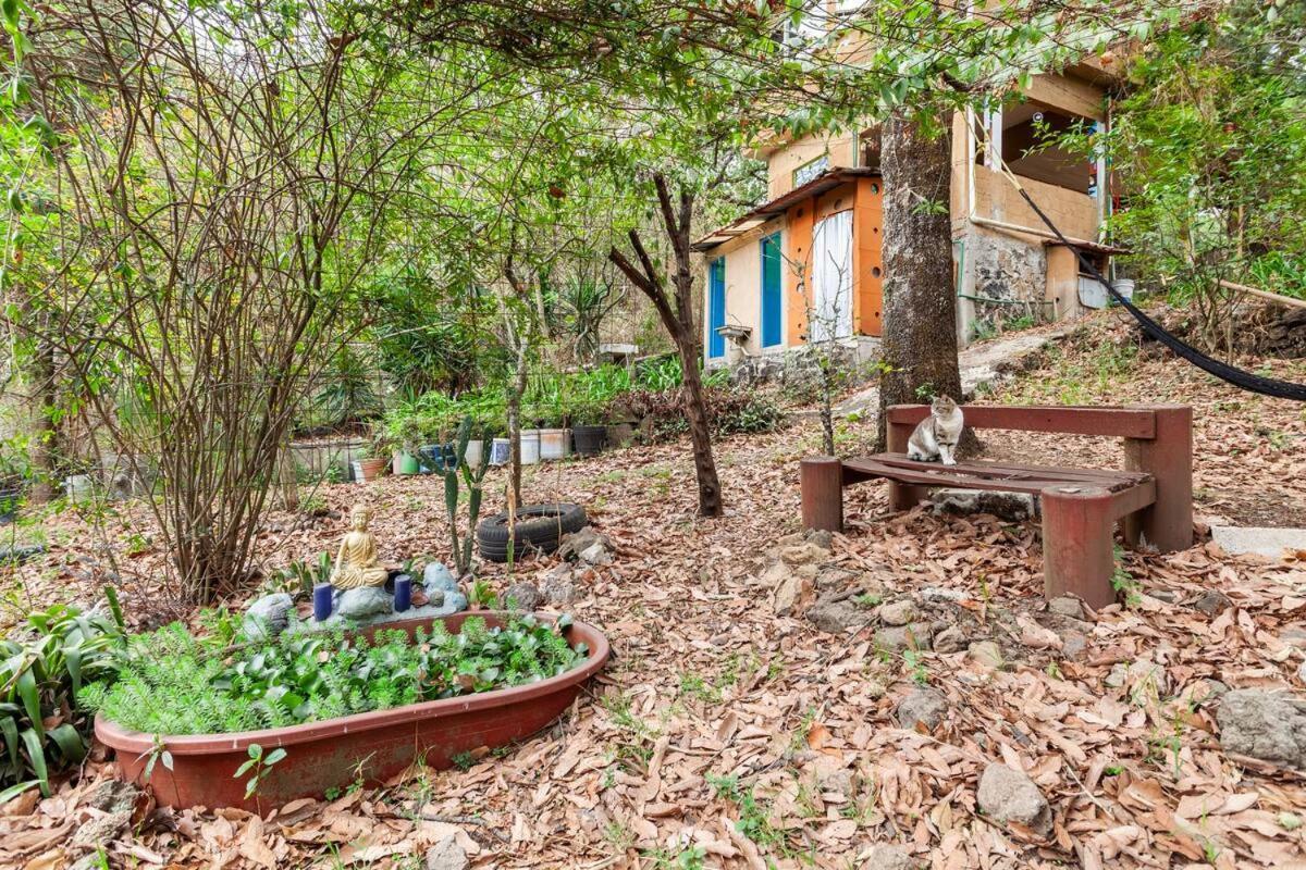 Ferienwohnung Casa Ecologica Tepoztlán Exterior foto